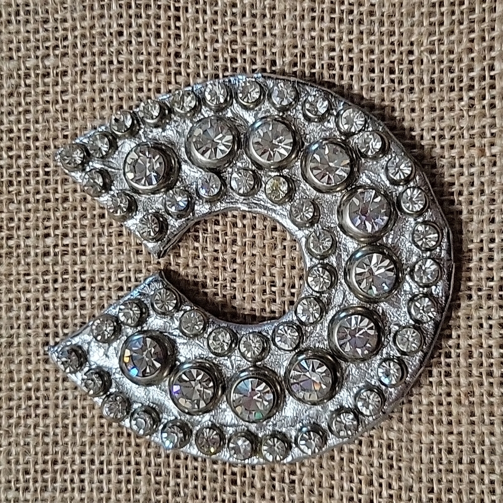 Rhinestone Horseshoe Pin